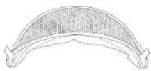 Joie Steadi R129 - Accessoires - 1