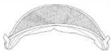 Joie Steadi R129 - Accesorio - 1