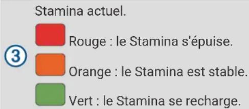 GARMIN Forerunner 965 - Affichage de votre Stamina en temps réel - 2