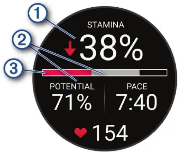 GARMIN Forerunner 965 - Affichage de votre Stamina en temps réel - 1