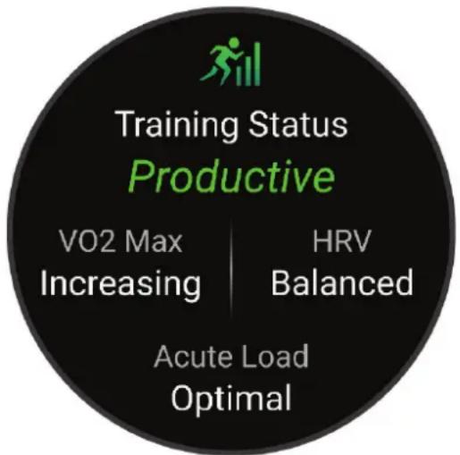 GARMIN Forerunner 965 - Statut d'entraînement - 1