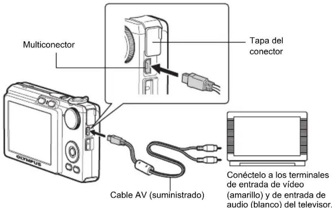 OLYMPUS X785 - Reproduccion en un televisor - 1