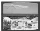 SAMSUNG MAXDA54 - Fonction Zoom (Agrandissement de l'écran) - 2