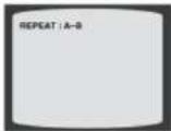 SAMSUNG MAXDVD9940 - DVD - 2