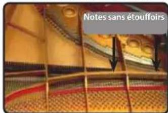 Dexibell Vivo H10 - No Damper ("No Damper" sur les notes élevées) - 1