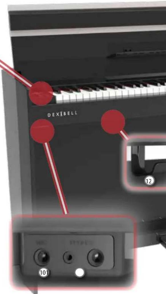 Dexibell Vivo H10 - MIC EFFECT - 1