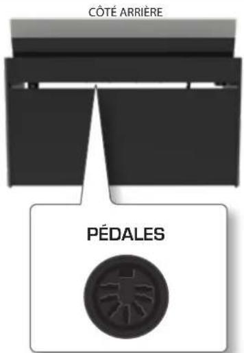 Dexibell Vivo H10 - Connexion du cordon de la pédale - 1