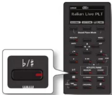 Dexibell Vivo H10 - Transposition de la hauteur du clavier - 1