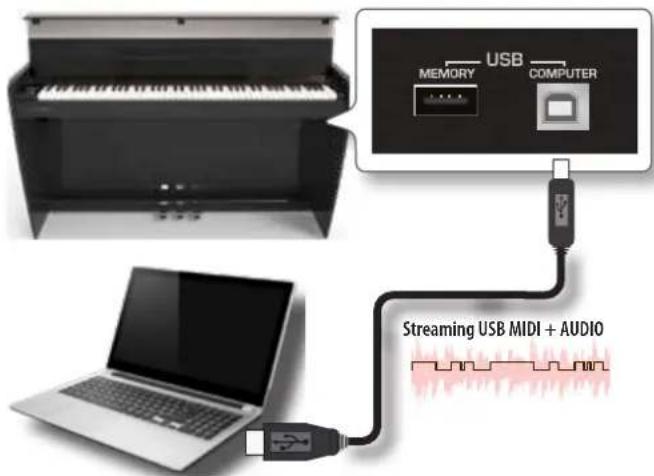Dexibell Vivo H10 - De quoi avez-vous besoin pour connecter le VIVO H10 à votre ordinateur? - 1