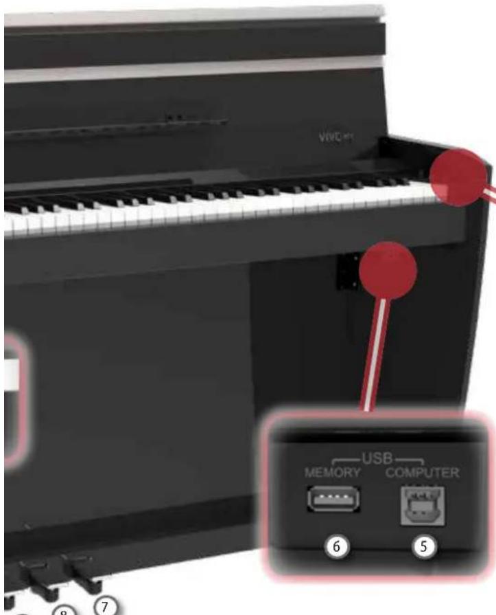 Dexibell Vivo H10 - Prise MIC - 1
