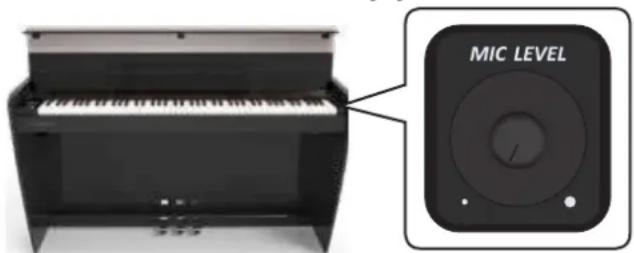Dexibell Vivo H10 - NOTE - 1