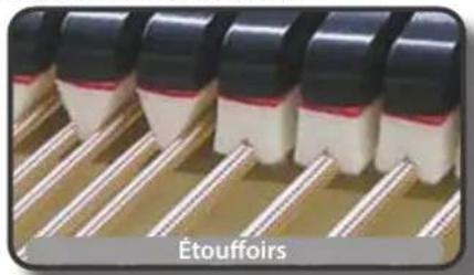 Dexibell Vivo H10 - Bruit de I'étouffoir - 1