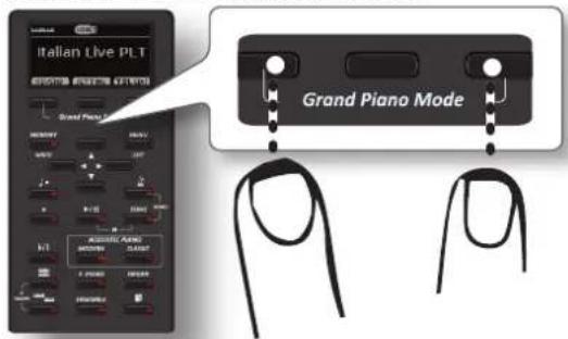 Dexibell Vivo H10 - NOTE - 1