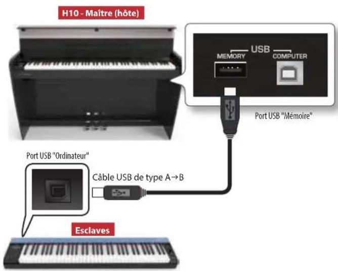 Dexibell Vivo H10 - Connexion de VIVO H10 à un clavier MIDI USB (fonction hôte USB) - 1