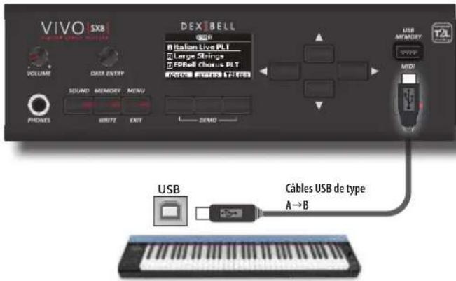 Dexibell Vivo SX8 - CE DONT VOUS AVEZ BESOIN POUR UTILISER X MURE - 2