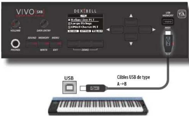 Dexibell Vivo SX8 - Connector un clavier MIDI USB - 1