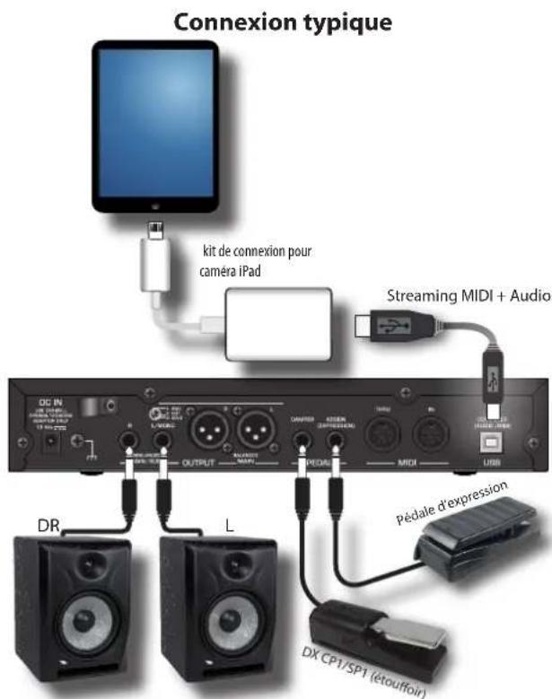 Dexibell Vivo SX8 - CE DONT VOUS AVEZ BESOIN POUR UTILISER X MURE - 1