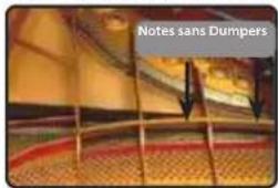 Dexibell Vivo SX8 - No Damper ("No Damper" sur les notes élevées) - 1