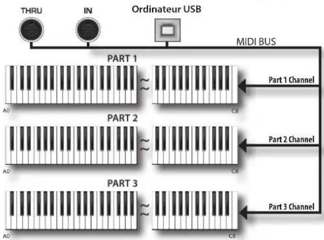 Dexibell Vivo SX8 - Paramètres MIDI - 1