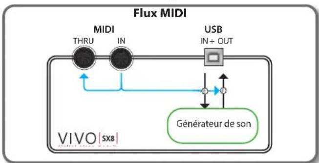 Dexibell Vivo SX8 - Connector un clavier MIDI - 2