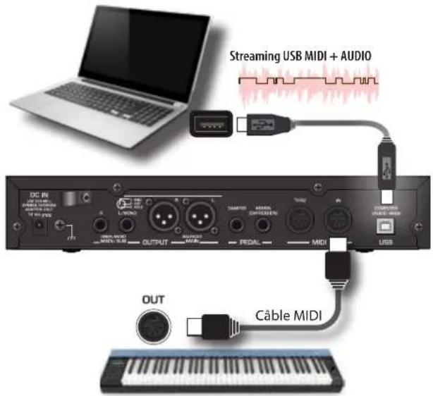 Dexibell Vivo SX8 - Connector un clavier MIDI - 1