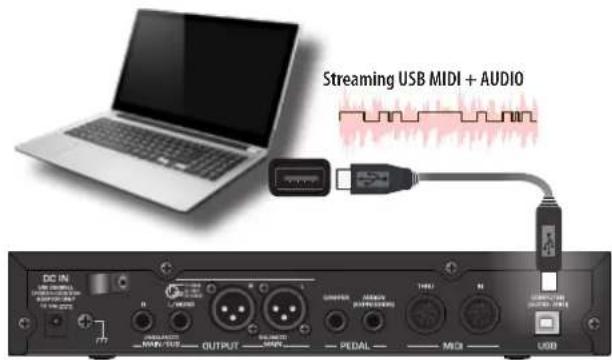 Dexibell Vivo SX8 - Connector un clavier MIDI USB - 2