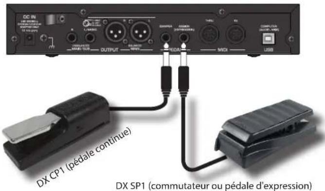Dexibell Vivo SX8 - À propos des pédales - 1