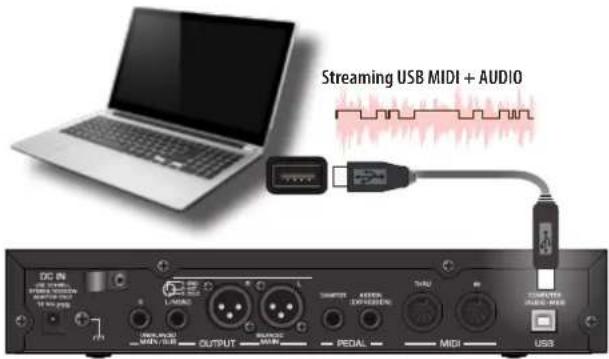 Dexibell Vivo SX8 - NOTE - 1