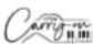 Carry-on Folding Piano 88 - Precautions - 2