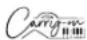 Carry-on Folding Piano 88 - Ajustar el volumen - 1