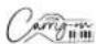 Carry-on Folding Piano 88 - Precauciones - 1
