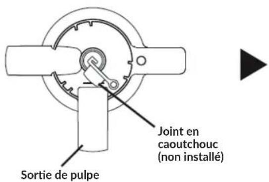 Zeegma Sap - Assemblage de l'appareil - 1