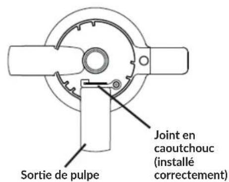 Zeegma Sap - Assemblage de l'appareil - 2