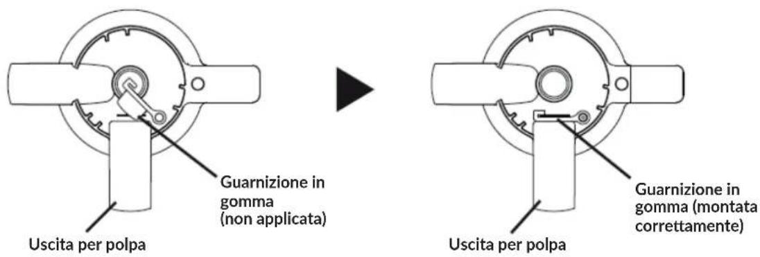 Zeegma Sap - Assemblaggio del dispositivo - 1