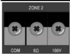 ZONE 2 COM 8Ω 100V