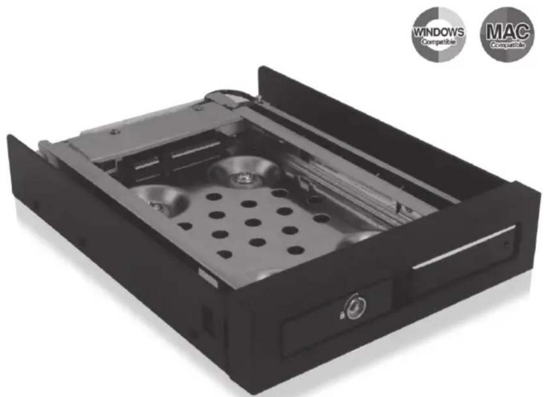 Icy Box IB2217StS - 1