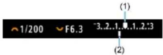 1/200 F6.3 -3..2..1..1..2:3 (1) (2)