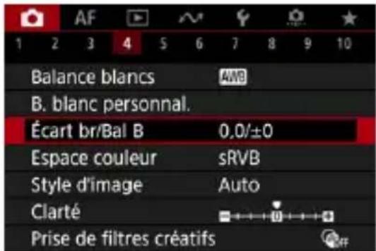 AF 1 2 3 4 5 6 7 8 9 10 Balance blancs AWB B. blanc personnel. Écart br/Bal B 0,0/±0 Espace couleur sRVB Style d'image Auto Clarté Prise de filtres créatifs