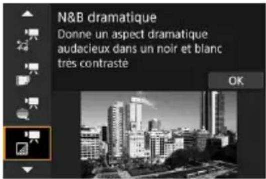 N&B dramatique Donne un aspect dramatique audacieux dans un noir et blanc très contrasté OK
