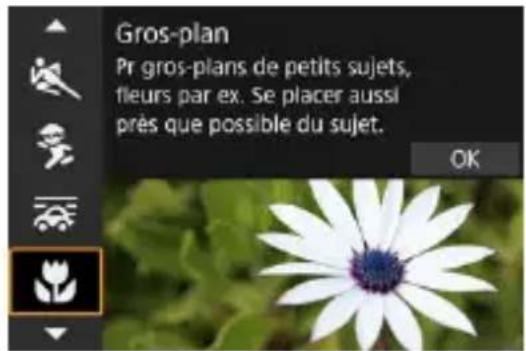 Gros-plan Pr gros-plans de petits sujets, fleurs par ex. Se placer aussi près que possible du sujet. OK