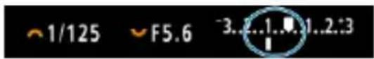 1/125 F5.6 3..2..1..0..1..2:3