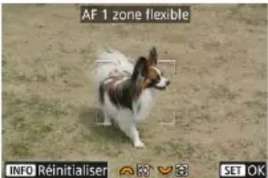AF 1 zone flexible INFO Réinitialiser 🎨 🍴 🌐 SET OK