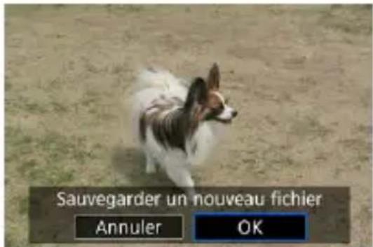 Sauvegarder un nouveau fichier Annuler OK