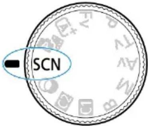 SCN