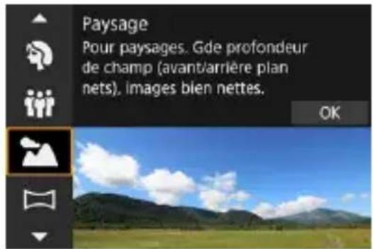 Paysage Pour paysages. Gde profondeur de champ (avant/arrière plan nets), images bien nettes. OK
