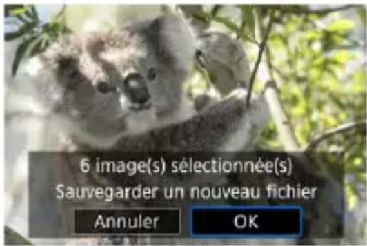 6 image(s) sélectionnée(s) Sauvegarder un nouveau fichier Annuler OK