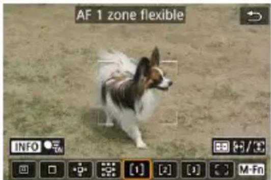 AF 1 zone flexible INFO H3 [1] [2] [3] M Fn