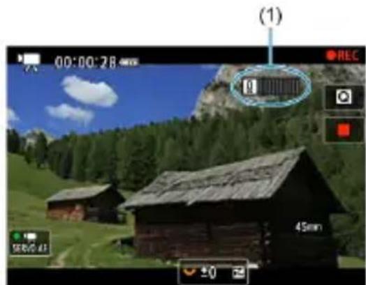 CANON EOS R8 - Affichage des indicateurs d'avertissement lors de l'enregistrement vidéo - 1
