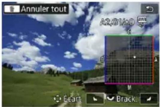 Annuler tout A2,51±0 GPS Ecart Brack