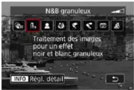 N&B granuleux Traitement des images pour un effet noir et blanc granuleux INFO Régl. détail